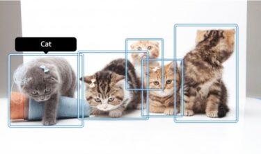 AWSの画像認識で、猫の数をカウントするには【Python】